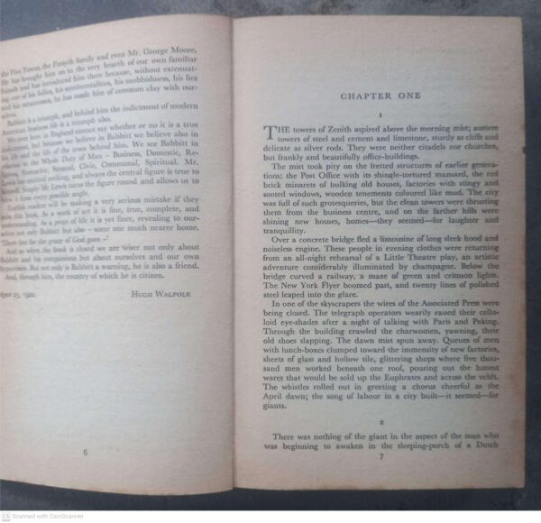 Babbitt — Sinclair Lewis secondhand book