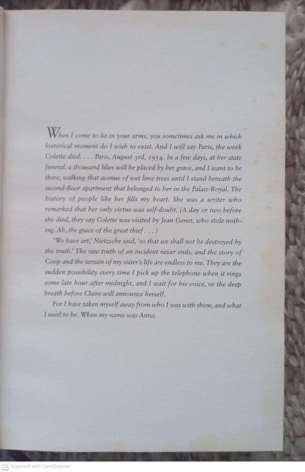 Divisadero — Michael Ondaatje secondhand book