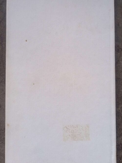 Een-En-twintig — Jan Sebastian Rabie secondhand book