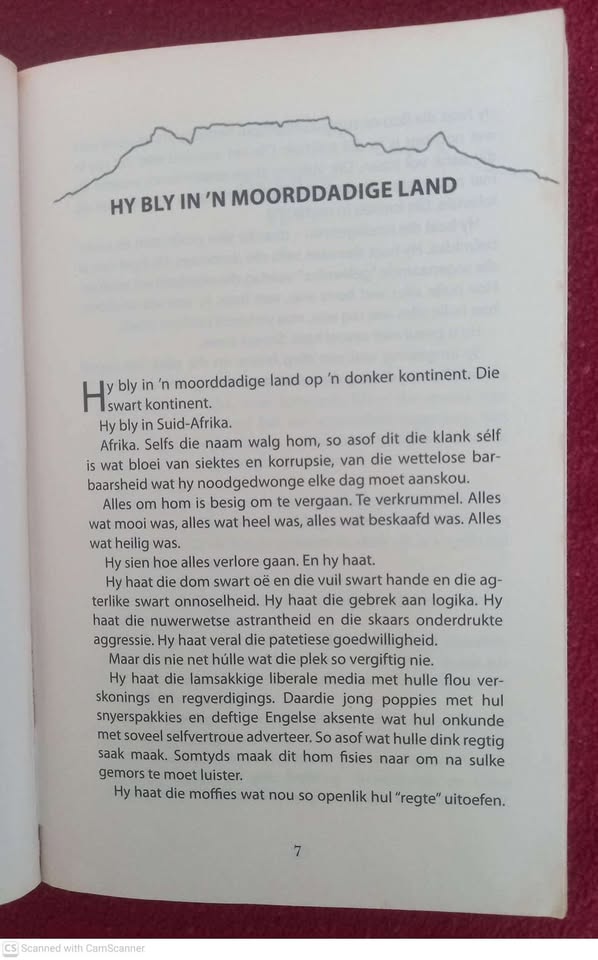 Een Stad, Drie Rooikoppe, Sewe Dae — Adeline Radloff, Lili Radloff secondhand book