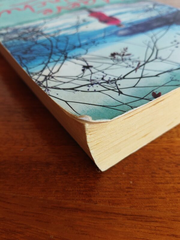 A Week In Winter – Maeve Binchy secondhand book