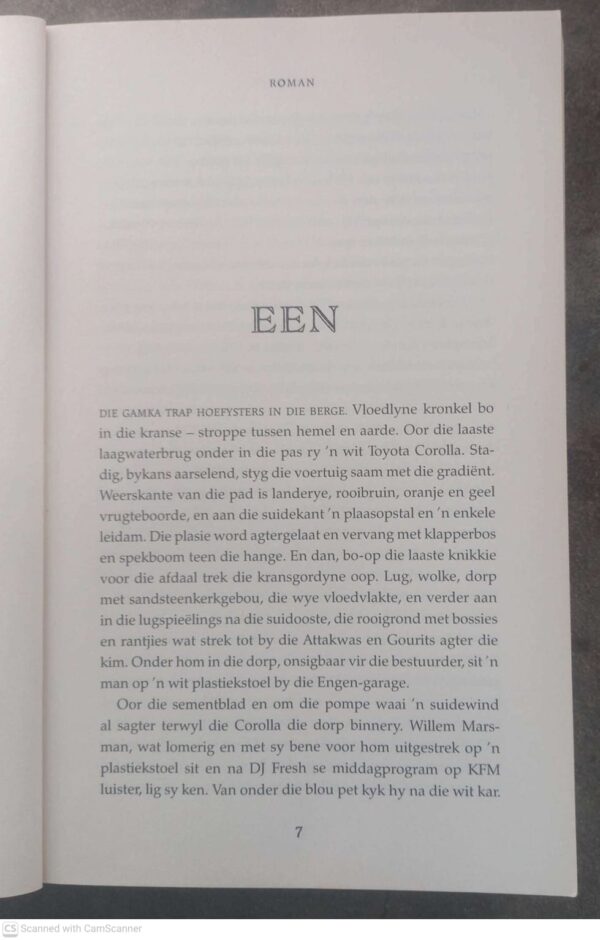 Roman6 Roman — Cas Wepener secondhand book