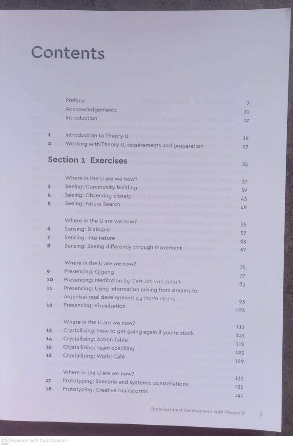 Organisational Development With Theory U: Exercises And Case Studies — Esther De Haan, Eva Beerends secondhand book