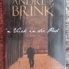 ‘n Vurk In Die Pad – André P. Brink secondhand book