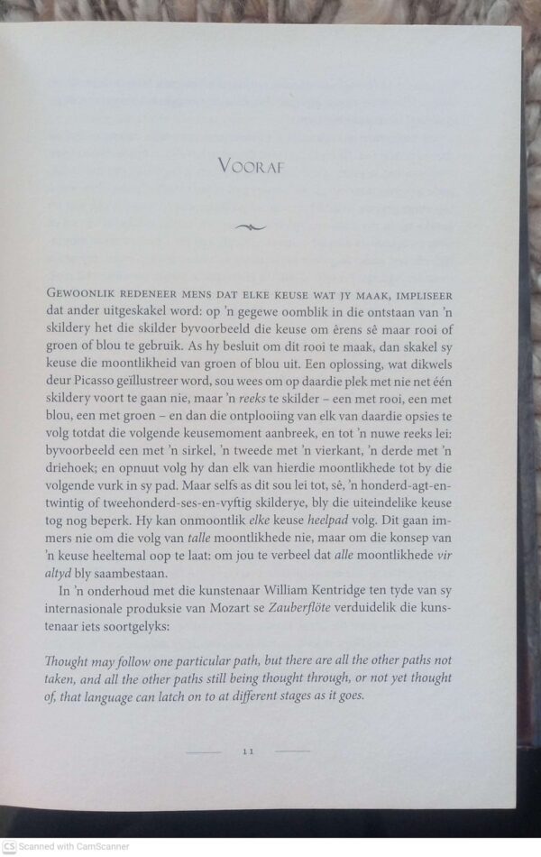 ‘n Vurk In Die Pad – André P. Brink secondhand book