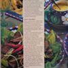 back-quick-and-easy-salads Quick ‘n Easy Salads, Dressings & More secondhand book