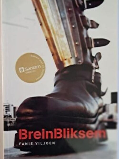 breinbliksem-fanie-viljoen-isbn-9780624043072 Breinbliksem – Fanie Viljoen secondhand book