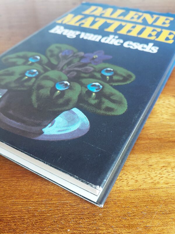 Brug Van Die Esels – Dalene Matthee secondhand book