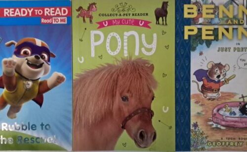 Children’s Early Reader Book Bundle (3 Books) secondhand book
