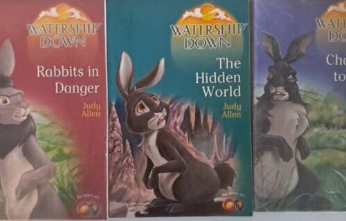 Watership Down TV Series (3 Books) – Judy Allen secondhand book