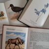 Vintage Cape Nature Conservation Trilogy secondhand book