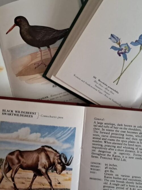 Vintage Cape Nature Conservation Trilogy secondhand book