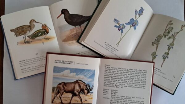 Vintage Cape Nature Conservation Trilogy secondhand book