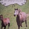 Children’s Early Reader Book Bundle (3 Books) secondhand book