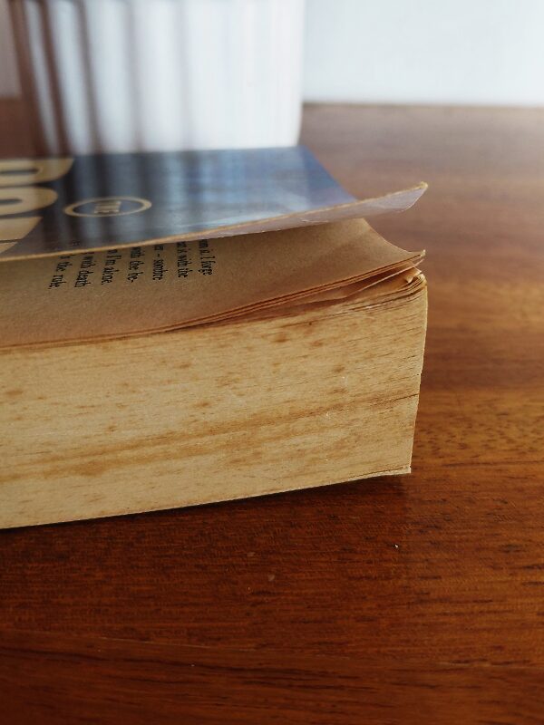 The Poet – Michael Connelly secondhand book