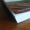 Microeconomics For UNISA – R Pindyck secondhand book