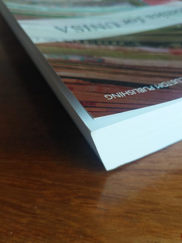 Microeconomics For UNISA – R Pindyck secondhand book