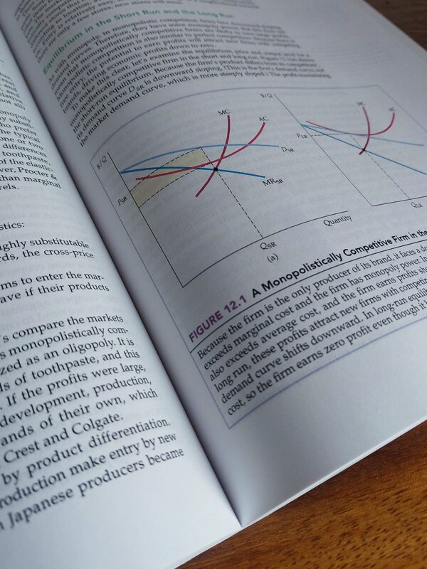 Microeconomics For UNISA – R Pindyck secondhand book