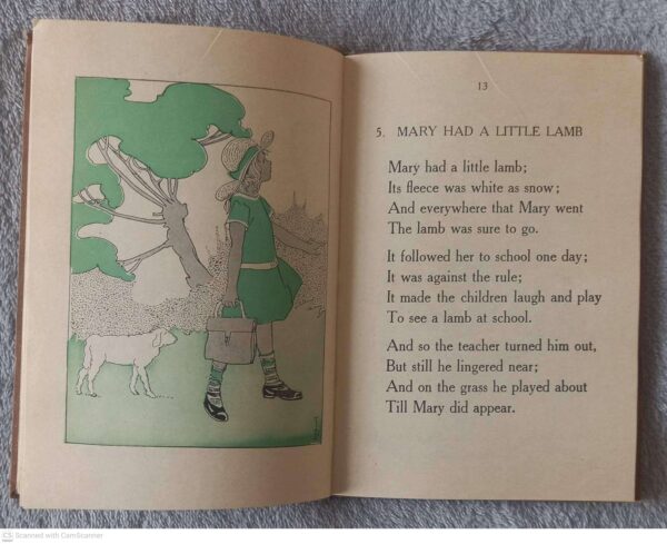 Young South Africa English Readers, Book 2 — C. J. Alers, T. Charter secondhand book