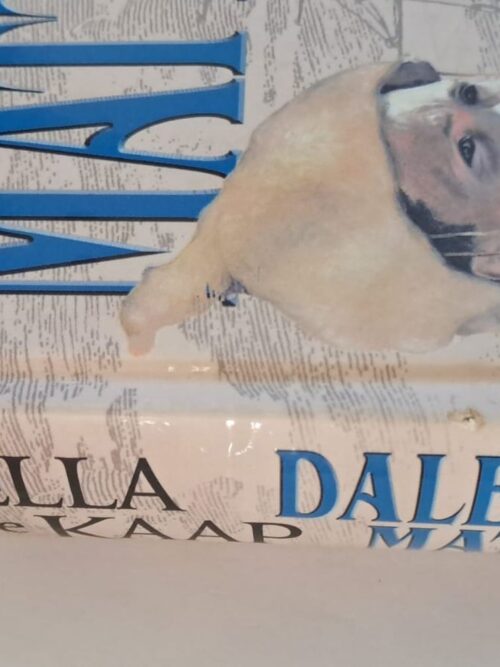 Pieternella Van Die Kaap – Dalene Matthee secondhand book