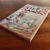Scoops En Skandes – Hennie Van Deventer secondhand book