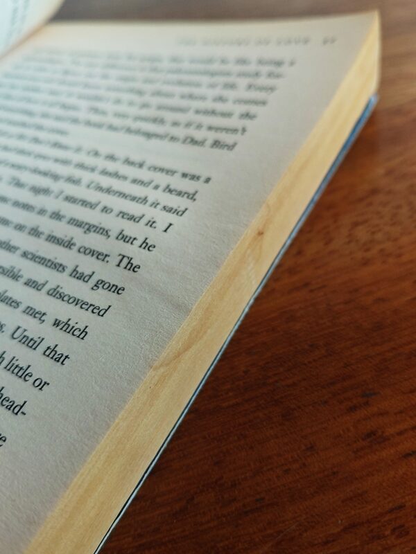 The History Of Love – Nicole Krauss secondhand book