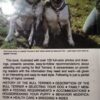 Bull Terriers – Martin Weil secondhand book