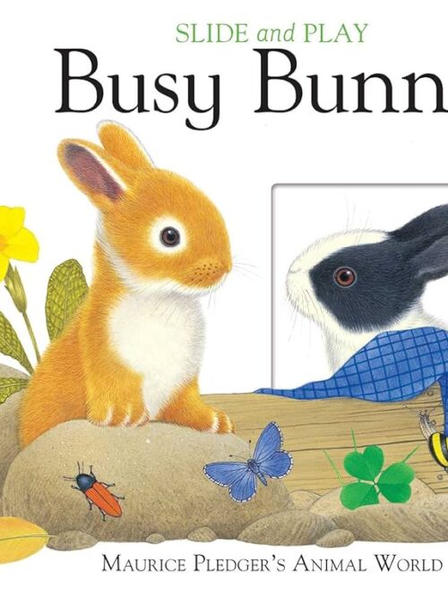 Busy Bunny Slide – Maurice Pledger secondhand book