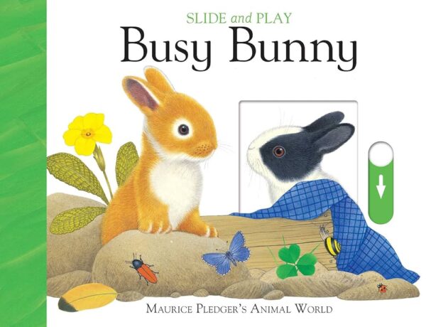 Busy Bunny Cover Busy Bunny Slide – Maurice Pledger secondhand book