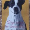 Dogs Never Lie About Love — Jeffrey Moussaieff Masson secondhand book