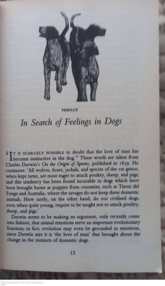 Dogs Never Lie About Love — Jeffrey Moussaieff Masson secondhand book