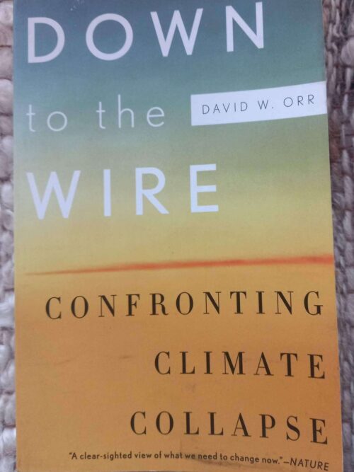 Down To The Wire: Confronting Climate Collapse — David W. Orr secondhand book