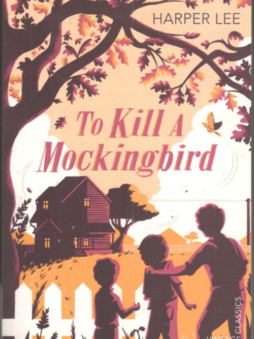 To Kill A Mockingbird – Harper Lee secondhand book