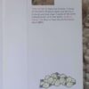 How Many Lightbulbs Does It Take To Change A Planet? — Tony Juniper secondhand book