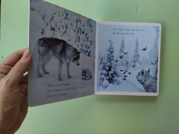 IMG_20250905_184932 The Puppy’s Wish – Lori Evert secondhand book