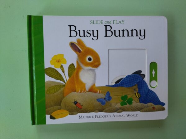 Busy Bunny Slide – Maurice Pledger secondhand book