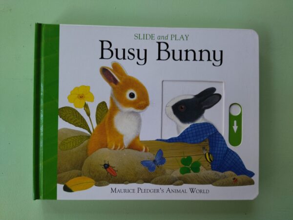 IMG_20250905_184951 Busy Bunny Slide – Maurice Pledger secondhand book