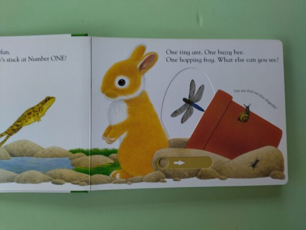 IMG_20250905_185024 Busy Bunny Slide – Maurice Pledger secondhand book