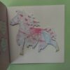 Princess Evie’s Ponies: Confetti The Magic Wedding Pony – S KilBride & S Tilley secondhand book