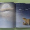 Mama, Why? – Karma Wilson, Simon Mendez secondhand book