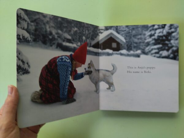 The Brave Little Puppy – Lori Evert secondhand book