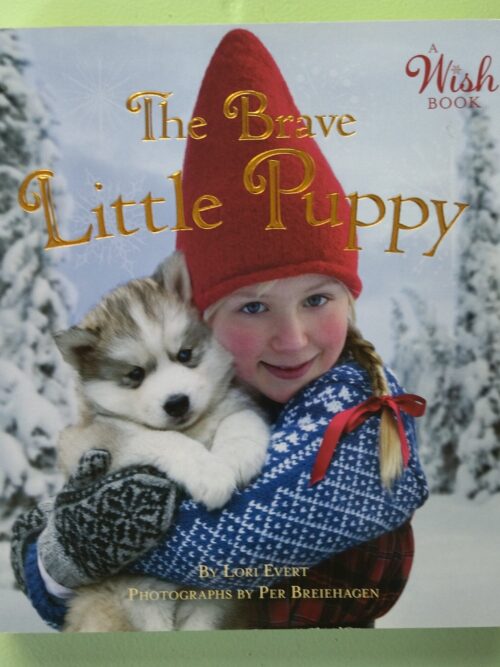 The Brave Little Puppy – Lori Evert secondhand book
