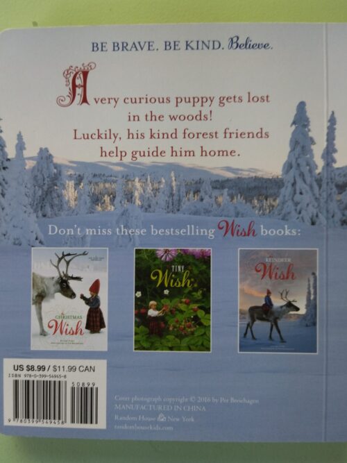 The Brave Little Puppy – Lori Evert secondhand book
