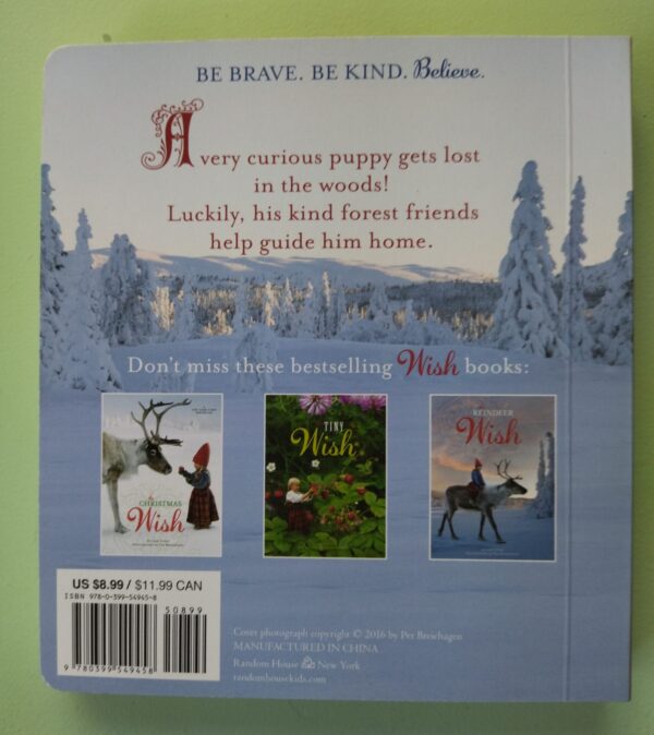The Brave Little Puppy – Lori Evert secondhand book
