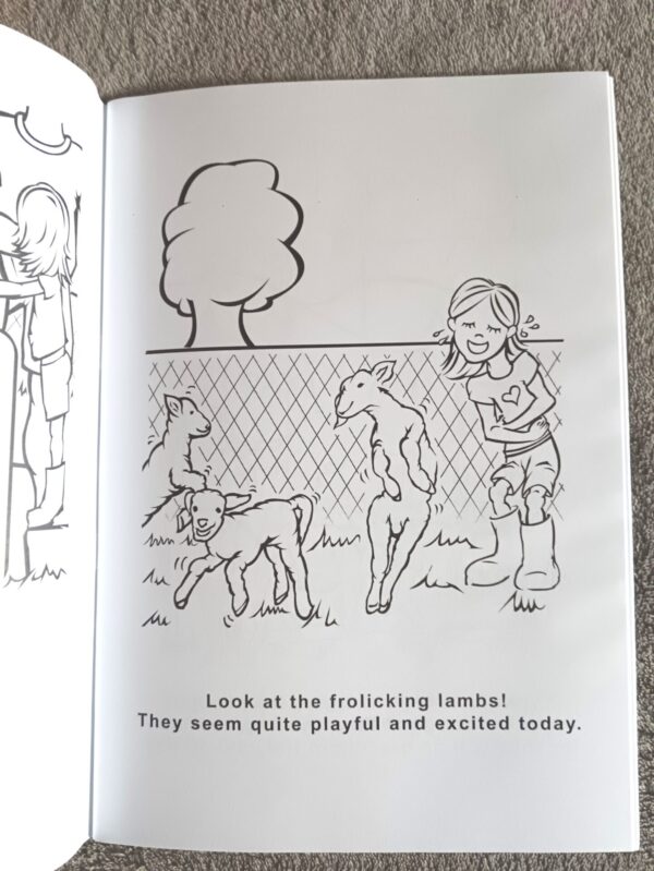 A Day On The Homestead Story And Colouring Book – Magdél Röhm secondhand book