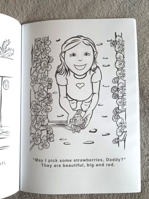 A Day On The Homestead Story And Colouring Book – Magdél Röhm secondhand book