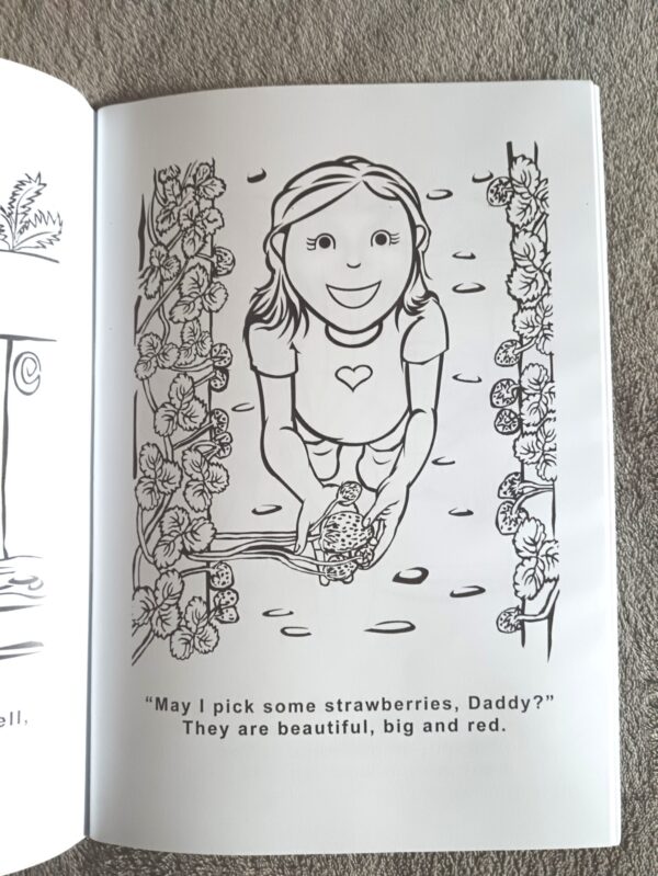 A Day On The Homestead Story And Colouring Book – Magdél Röhm secondhand book