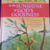 In The Sunshine Of God’s Goodness – Nina smit secondhand book
