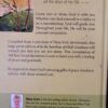 In The Sunshine Of God’s Goodness – Nina smit secondhand book