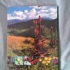 IMG_20260716_130559 Wild Flowers Of South Africa secondhand book